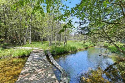 /international/us/5218-mitchell-road-central-lake-mi-110108780326/