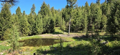 /international/us/4-tract-bull-elk-drummond-mt-110106468084/