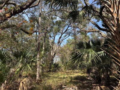 /international/us/undetermined-citra-fl-110096847541/