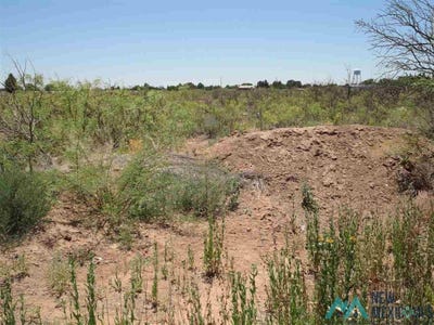 /international/us/tennyson-street-deming-nm-110107715444/