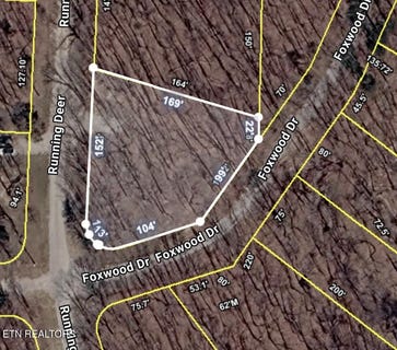 /international/us/1013-running-deer-crab-orchard-tn-110119608548/