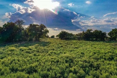/international/us/99-97-acres-s-281-highway-perrin-tx-110102712987/