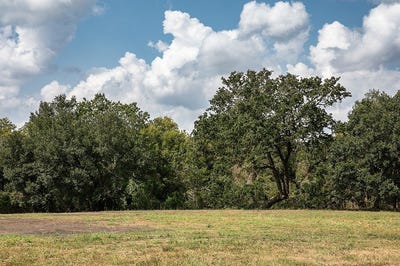 /international/us/1-acre-400-s-railroad-st-burton-tx-110102310522/