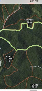 /international/us/russell-branch-road-clayhole-ky-110093140879/