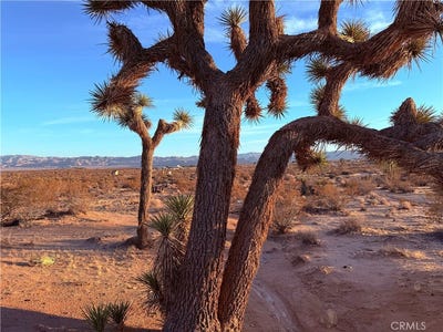 /international/us/2700-del-sol-joshua-tree-ca-110097294652/