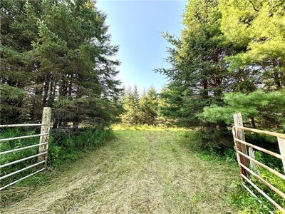 /international/us/east-20-acres-w-poertner-road-neillsville-wi-110101365063/?lang=en