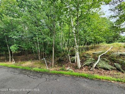 /international/us/baldassari-drive-lot-a-1-dunmore-pa-110093438027/
