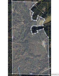 /international/us/capstone-boulevard-brookwood-al-110105051532/