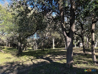 /international/us/2168-river-oaks-skidmore-tx-110103504505/