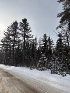 /international/us/1901-county-route-27-owls-head-ny-110105309183/