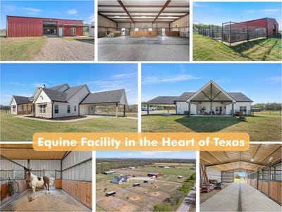 /international/us/399-satin-road-chilton-tx-110098216191/