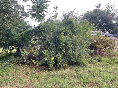 /international/us/804-dixie-st-blytheville-ar-110108167832/