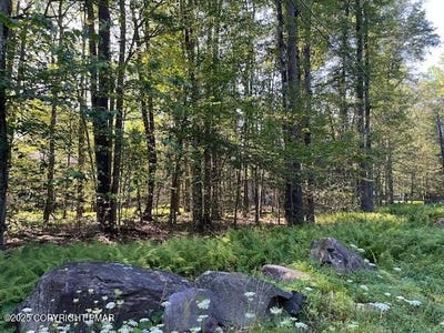 /international/us/1175-gross-drive-pocono-pines-pa-110101331738/?lang=zh-tw