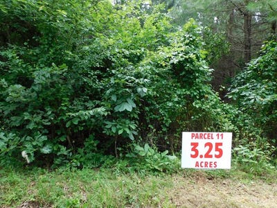 /international/us/3-25-ac-neals-corner-road-clover-va-110104551151/