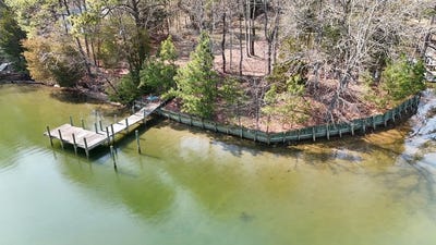 /international/us/508-greenfield-point-drive-burgess-va-110106569367/