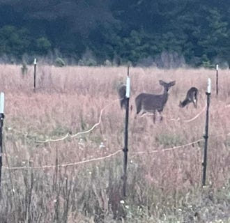 /international/us/tbd-cecil-road-manning-sc-110100754353/?lang=zh-tw