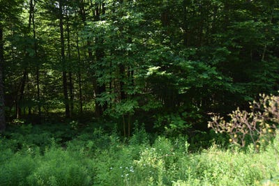/international/us/m-2-l40-preble-avenue-madison-me-110100777164/