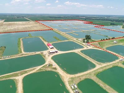 /international/us/730-hoke-road-isola-humphreys-county-ms-110100265163/
