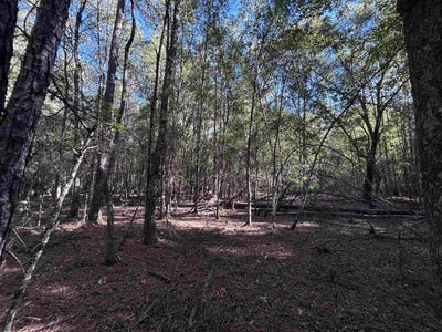 /international/us/hackberry-lot-16-village-mills-tx-110103422463/