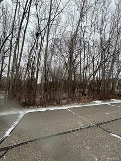 /international/us/fountain-lane-handy-twp-mi-110104265252/