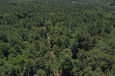 /international/us/240-valley-view-road-booneville-ar-110099789565/