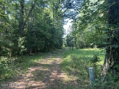 /international/us/parker-road-crosby-ms-110108223970/