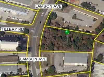/international/us/lamson-avenue-spring-hill-fl-110103031994/?lang=it