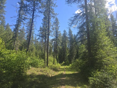 /international/us/36xx-northport-flat-creek-kettle-falls-wa-110108140694/