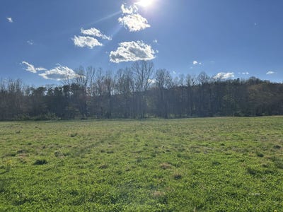 /international/us/pleasant-valley-rd-lot-5-vinton-oh-110107060008/
