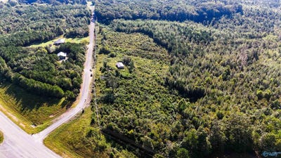 /international/us/115-ac-county-road-424-russellville-al-110102303282/