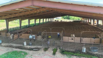 /international/us/546-hwy-145-downsville-la-110104909641/