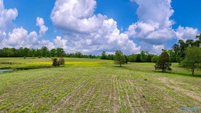 /international/us/22-acres-county-road-318-dawson-al-110095925822/?lang=zh-tw