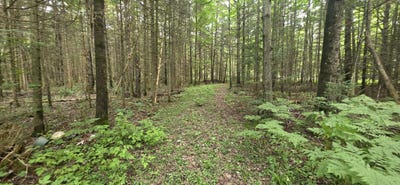 /international/us/south-dr-lot-18-sault-ste-marie-mi-110119712066/
