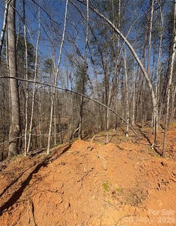 /international/us/avenida-de-oro-road-morganton-nc-110108237819/