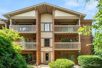 /international/us/2370-abbeywood-drive-lisle-il-110109159901/