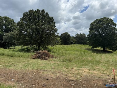 /international/us/tract-1-county-road-656-anderson-al-110099381864/?lang=pt