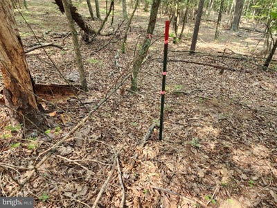 /international/us/6-47-acres-burd-lane-augusta-wv-110101199217/?lang=zh-tw