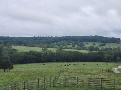 /international/us/9551-highway-ff-mountain-grove-mo-110101270028/
