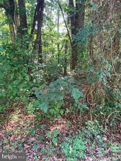 /international/us/bay-pointe-drive-montross-va-110097317761/?lang=zh-cn