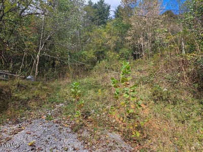 /international/us/1727-right-poor-valley-road-pennington-gap-va-110120646254/