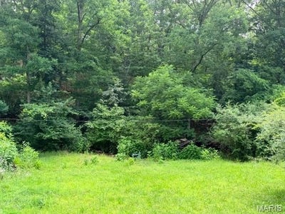 /international/us/00-ne-6th-street-mill-spring-mo-110108691042/