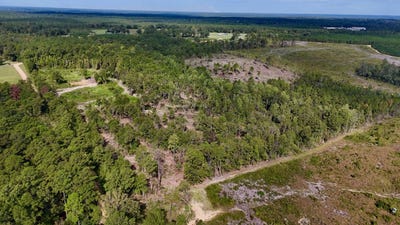 /international/us/jim-miller-road-leakesville-ms-110120027640/