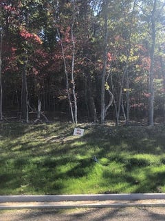 /international/us/5620-hunt-camp-rd-roanoke-va-110065327473/