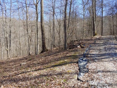 /international/us/0-birch-hollow-road-stanton-ky-110100865385/
