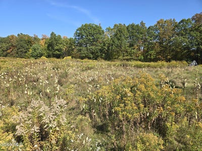 /international/us/l23-sunny-hill-acrs-greenville-ny-110105293315/