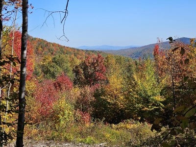 /international/us/moose-alley-road-lot-9-e-temple-me-110106279484/
