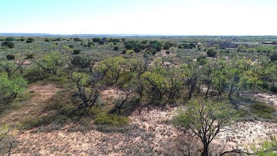 /international/us/cr-133-sweetwater-tx-110104222479/