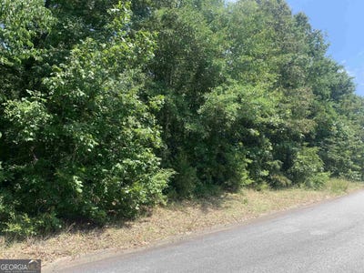/international/us/217-blue-ridge-lane-warner-robins-ga-110077701701/