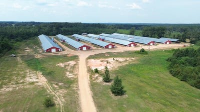 /international/us/55-keys-clark-rd-mount-olive-ms-110102447699/
