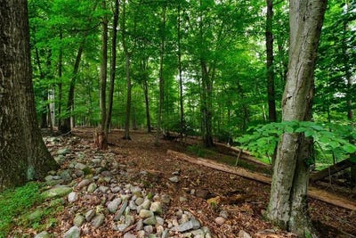 /international/us/14-farm-lane-suffern-ny-110095481317/?lang=en
